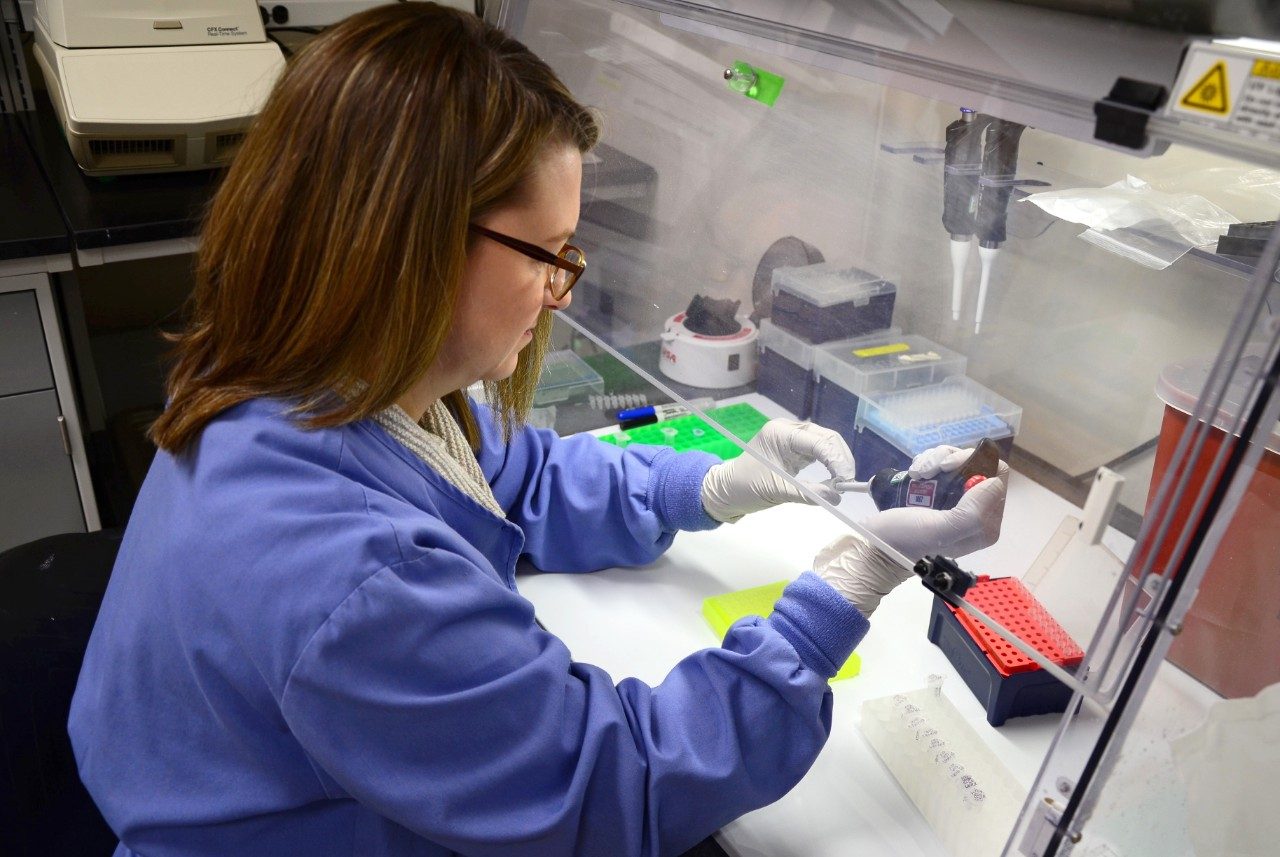 Laboratory technician Amanda Carbonello performs steps used in polymerase chain reaction (PCR) testing.